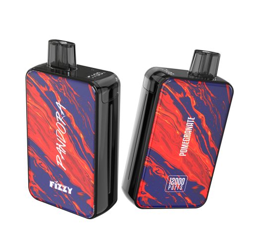 FIZZY Pandora 12000 Puffs - 2%/5% Nikotin Stärke, Rechargeable Disposable Vape mit 12.000 Zügen und 12 Aromen