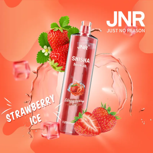 Jnr Shisha 12000 - 24ml E-Liquid, 12000 Puffs, 0%/2% Nikotin, 30 Aromen